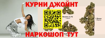гашик Кулебаки
