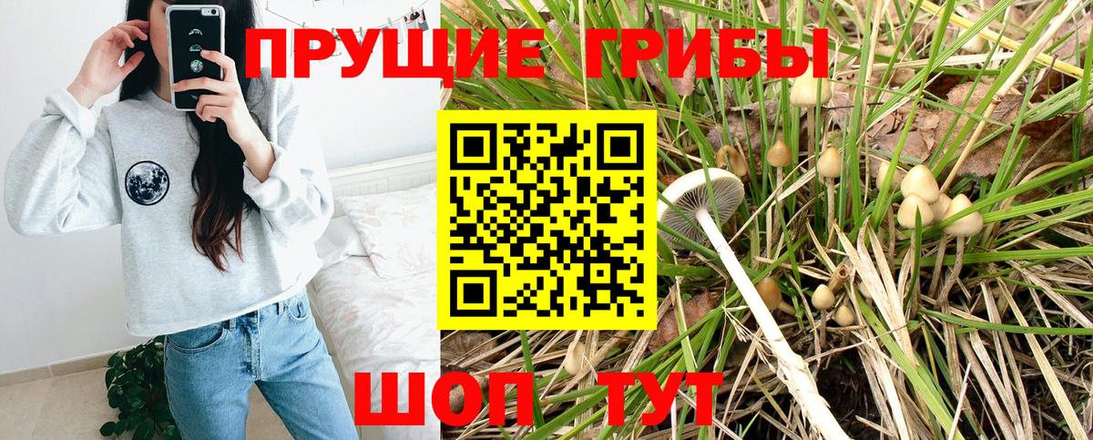 Котлас  Псилоцибиновые грибы ЛСД  Вход с VPN 